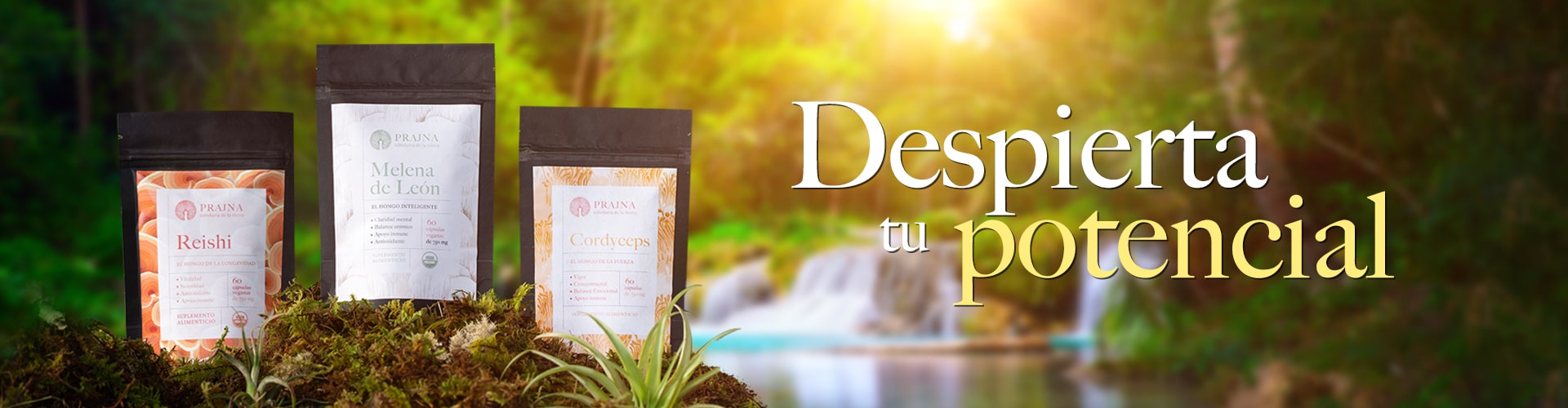 banner-footer-slider-seccion-nosotros-prajna.jpg