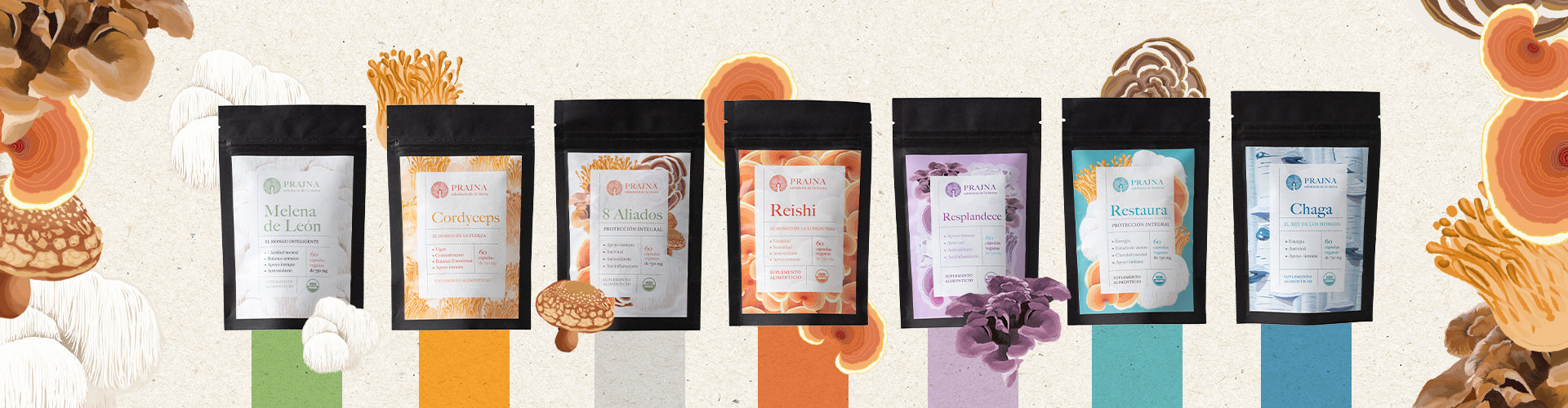 banner-slider-seccion-productos-prajna_1.jpg