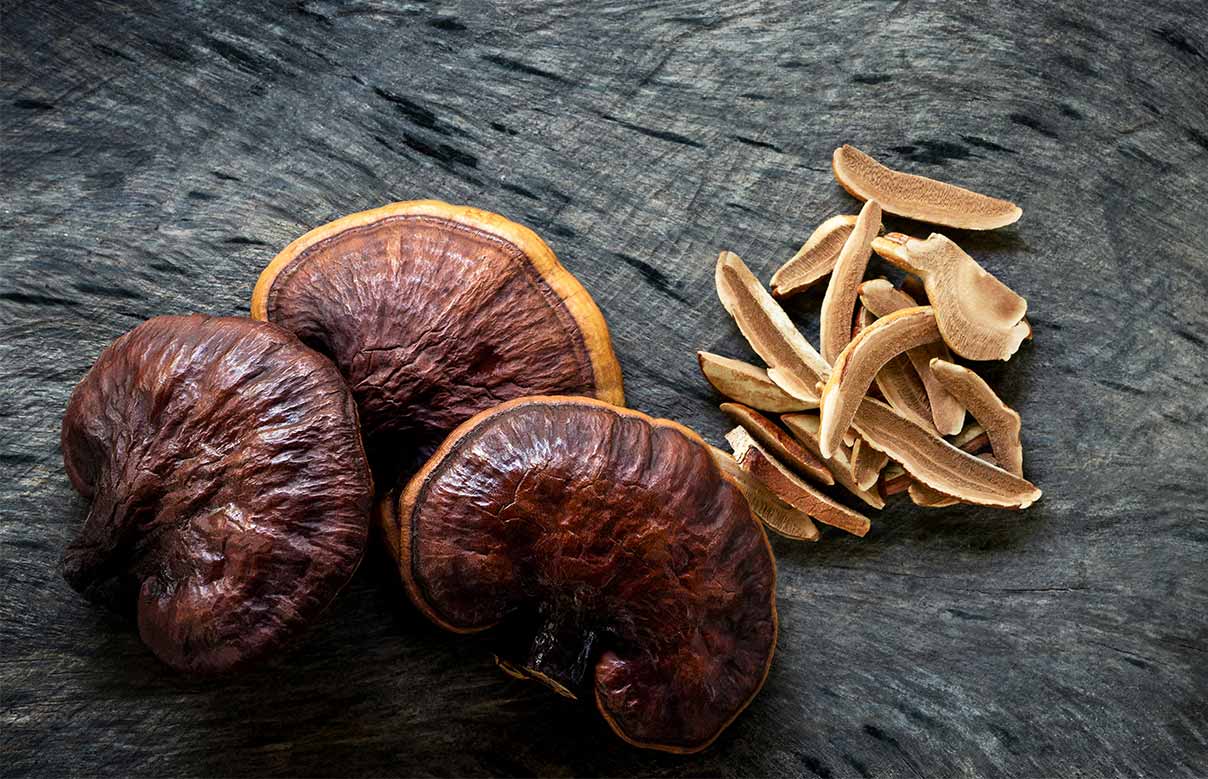 Prajla Sobre Nosotros – Prajna Fungi