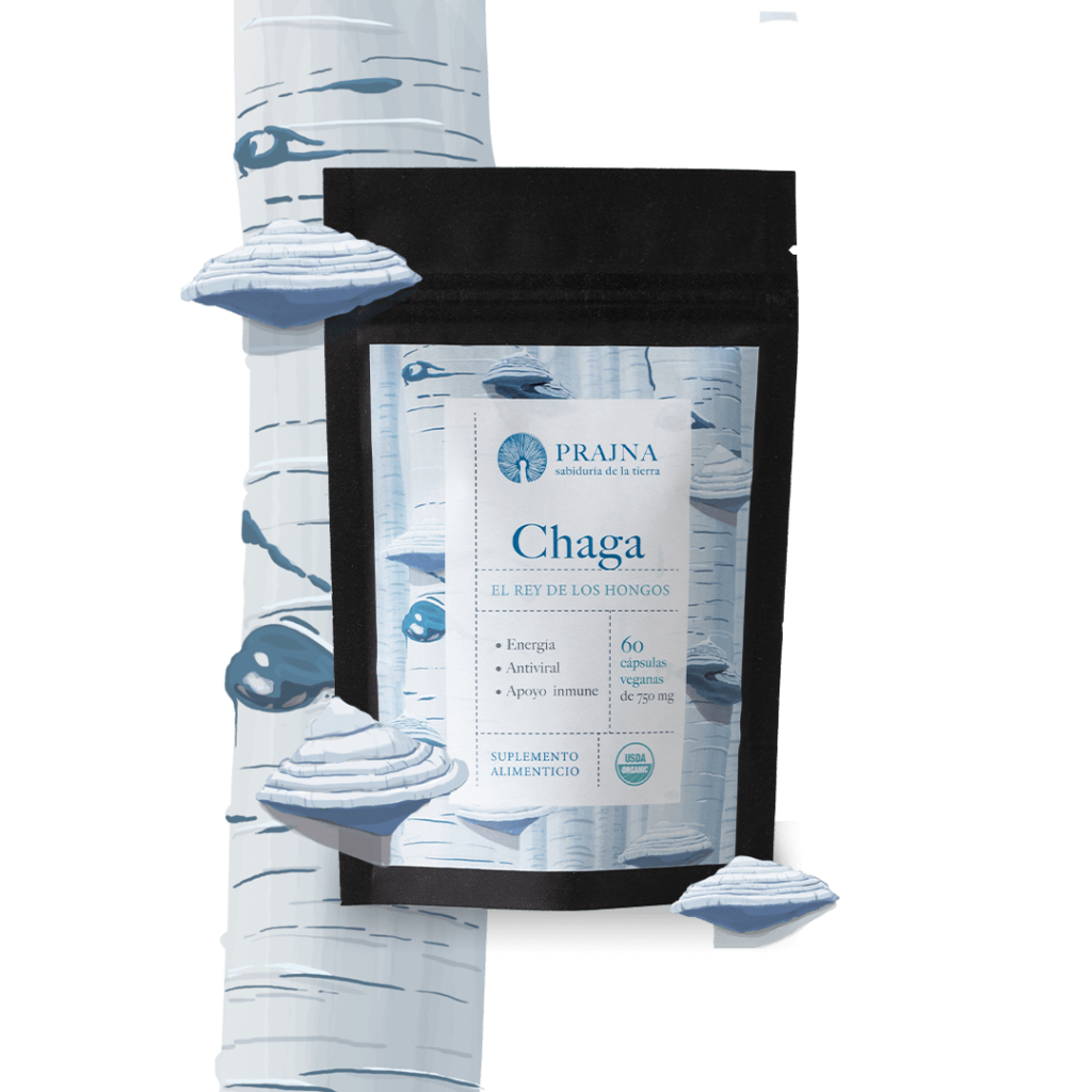 Chaga | Productos | Prajna