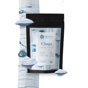 Chaga