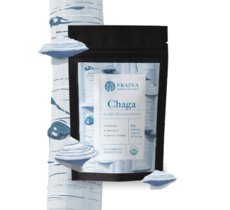 Chaga