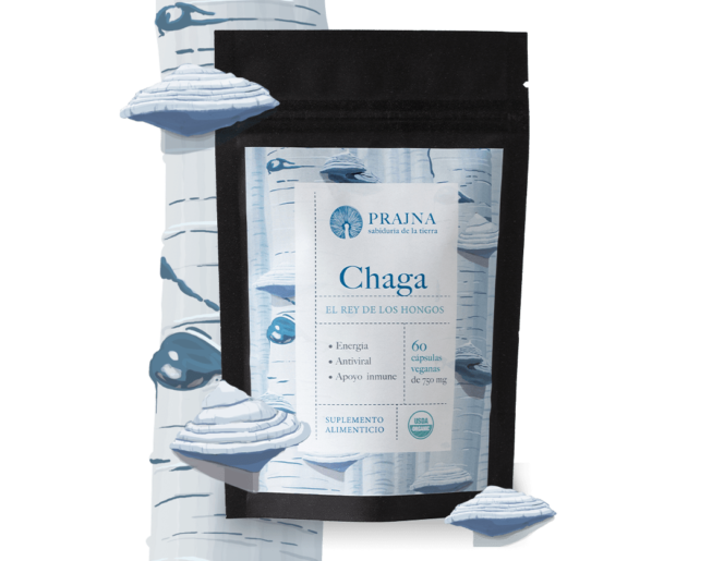 Chaga