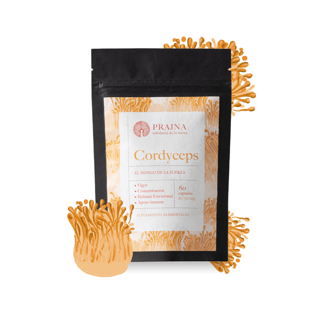 Cordyceps | Productos | Prajna