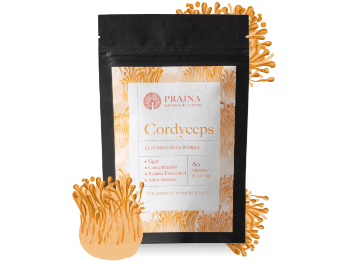 Cordyceps