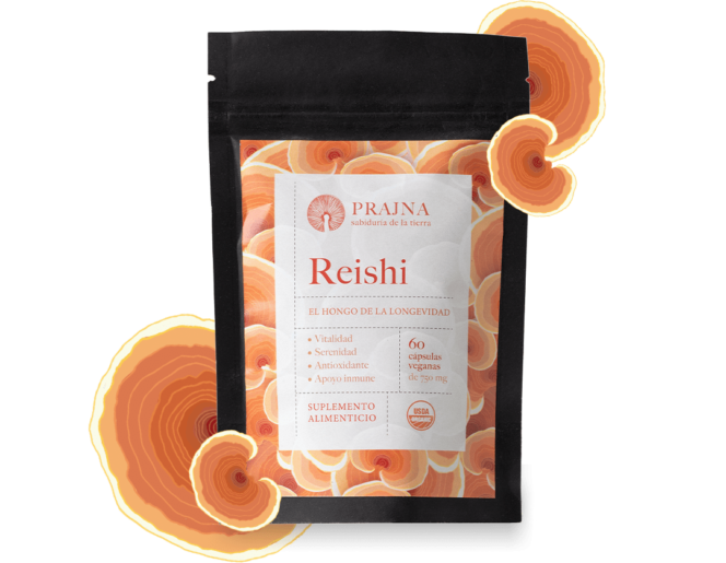 Reishi