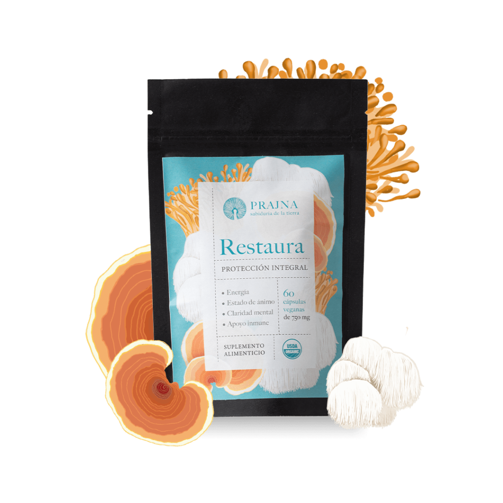 Restaura | Productos | Prajna