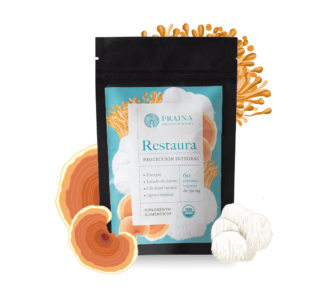 Restaura