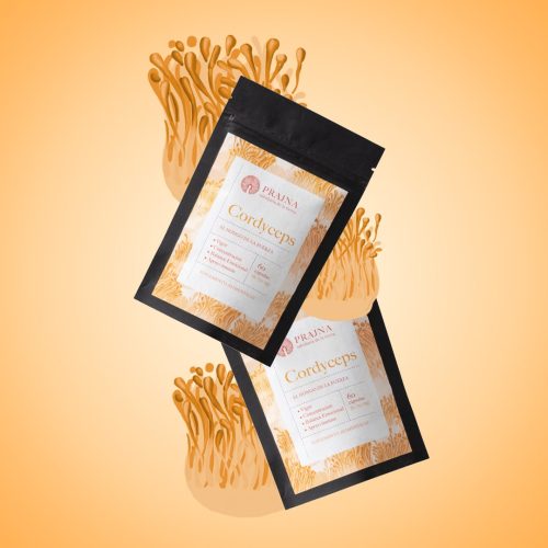 Prajna | Productos | Cordyceps